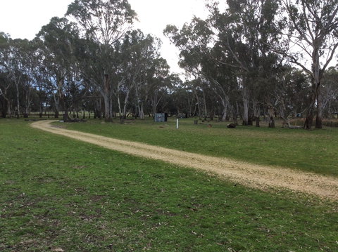 Black Cockatoo Bush Camp - Holiday Find 2