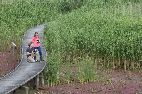 Bool Lagoon Game Reserve And Hacks Lagoon Conservation Park - Holiday Find 2