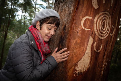Bulahdelah Mountain Aboriginal Place - Holiday Find 1