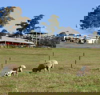Calmsley Hill City Farm - Holiday Find