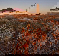 Cape Willoughby Heritage Trail - Holiday Find