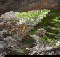 Cave Creek Walking Track - Holiday Find