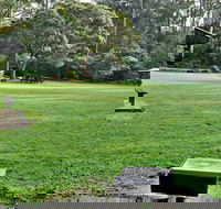 Cottonwood Glen Picnic Area - Holiday Find
