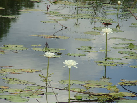 Djukbinj National Park - Holiday Find 1