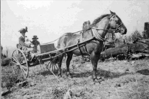 Don Dorrigo And Guy Fawkes Historical Society Museum - Holiday Find 1