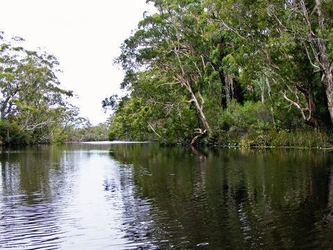 Esk River - Holiday Find 2