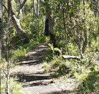 Euglah Rock Walking Track - Holiday Find