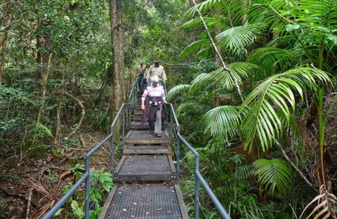 Falls Walking Track - Holiday Find 0