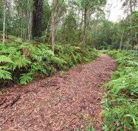 Forest Walking Track Gibraltar Range National Park - Holiday Find