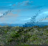 Forest Walking Track Crowdy Bay National Park - Holiday Find