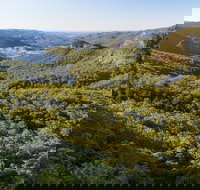 Gold Coast Hinterland Great Walk - Holiday Find