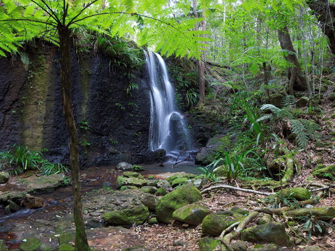 Gold Coast Hinterland Great Walk - Holiday Find 1
