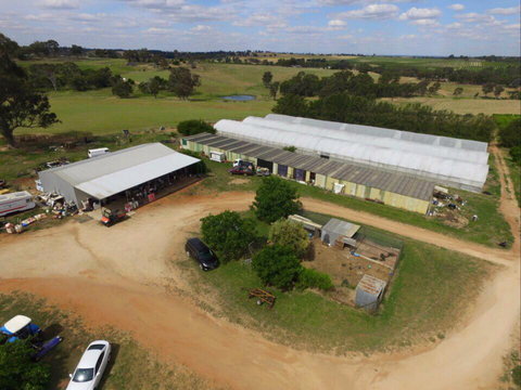 Hill-Lock Orchard - Holiday Find 0