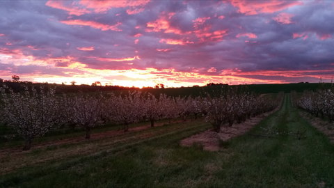 Hill-Lock Orchard - Holiday Find 2