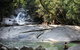 Josephine Falls Walking Track, Wooroonooran National Park - thumb 1