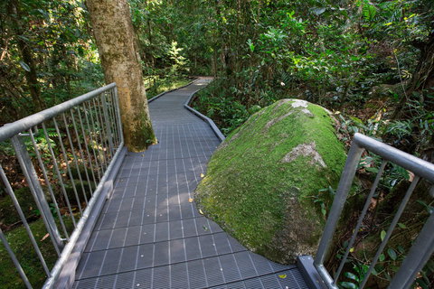 Josephine Falls Walking Track, Wooroonooran National Park - Holiday Find 2