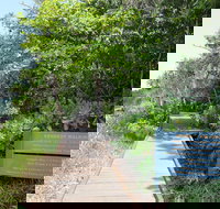 Kennedy Walking Track - Holiday Find