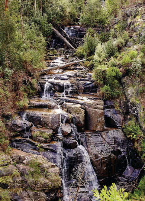 Kinglake National Park - Holiday Find 1