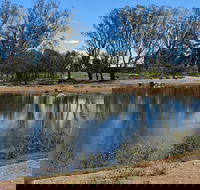 Lake King Wetlands at Rutherglen