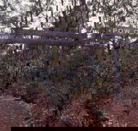 Marrinup Trail Dwellingup - Holiday Find