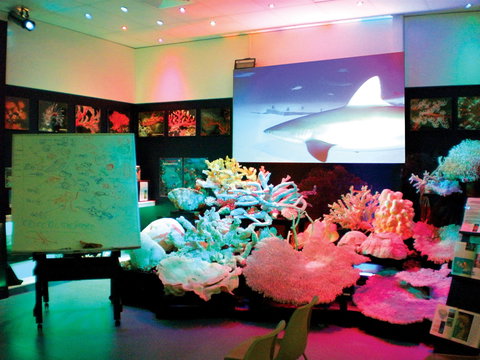 Marine Discovery Centre Hastings Point - Holiday Find 0