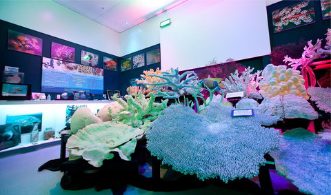 Marine Discovery Centre Hastings Point - Holiday Find 2