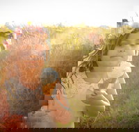 Millers Ice Cream - Holiday Find