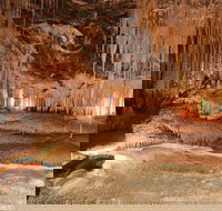 Mole Creek - Holiday Find