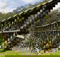 Noojee Trestle Bridge - Holiday Find