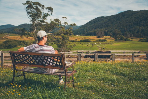 North - North East - Holiday Find 0