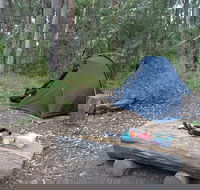 Northbrook Mountain Bush Camp - Holiday Find