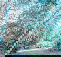 Phillips Gallery - Holiday Find