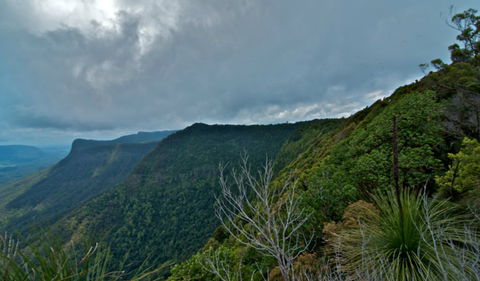 Pinnacle Walk And Lookout - Holiday Find 0