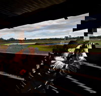 Reed Beds Bird Hide Boardwalk - Holiday Find