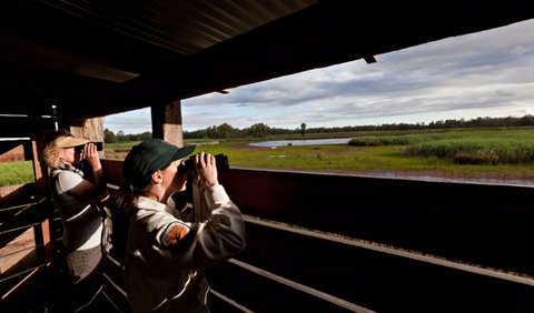 Reed Beds Bird Hide Boardwalk - Holiday Find 0