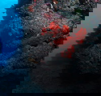 Stepping Stones Dive Site - Holiday Find