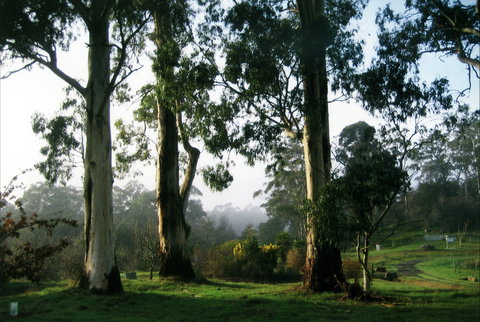 Tasmanian Arboretum Inc. - The - Holiday Find 1