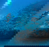 The Zanoni Wreck - Holiday Find