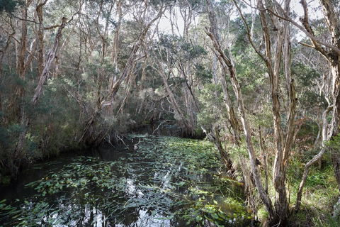 The Briars Park Walking Trails - Holiday Find 2