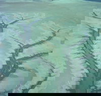 Tidal Flats - Holiday Find