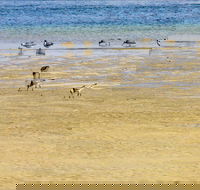 Towra Beach - Holiday Find