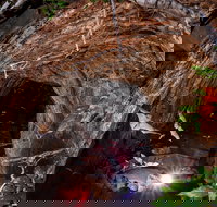 Undara Experience - Holiday Find