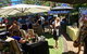 Wattle Street Market - thumb 0