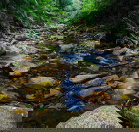 Willi Willi National Park - Holiday Find