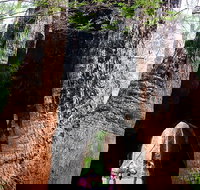 Ancient Empire Walk Valley of the Giants - Holiday Find