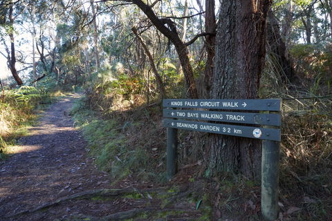 Arthurs Seat To Kings Falls Walk - Holiday Find 0