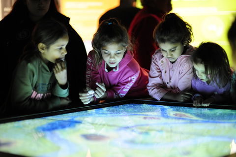 Bilya Koort Boodja - Centre For Nyoongar Culture And Environmental Knowledge - Holiday Find 0