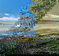 Black Oaks Picnic Area - Holiday Find