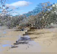 Bush Tucker Trail - Holiday Find