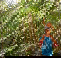 Canungra - Holiday Find